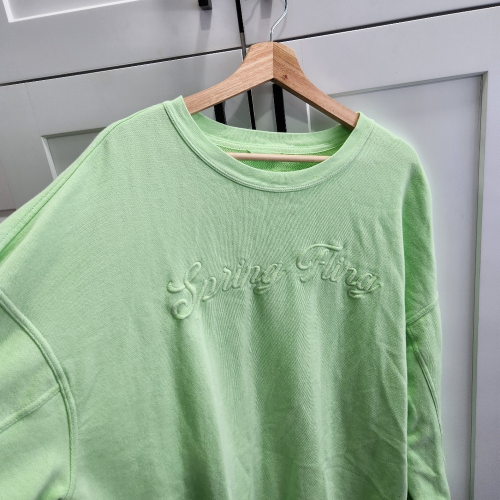 Aerie Spring Fling Light Green Real Crew Sweatshirt Size Large - Picture 2 of 6